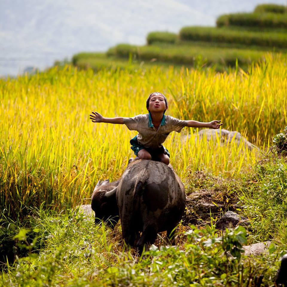 lòng yêu nước 3