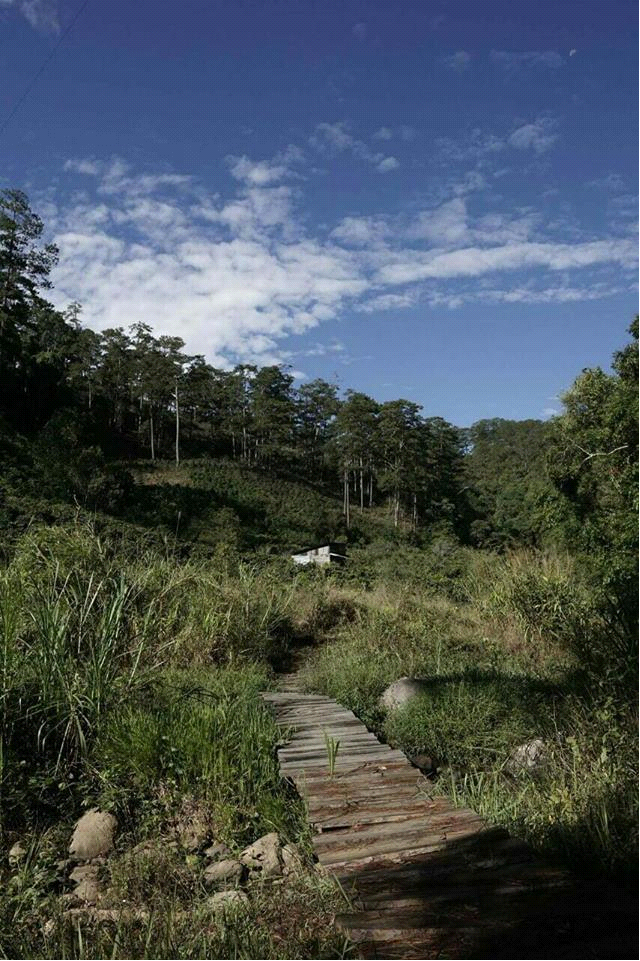 đà lạt