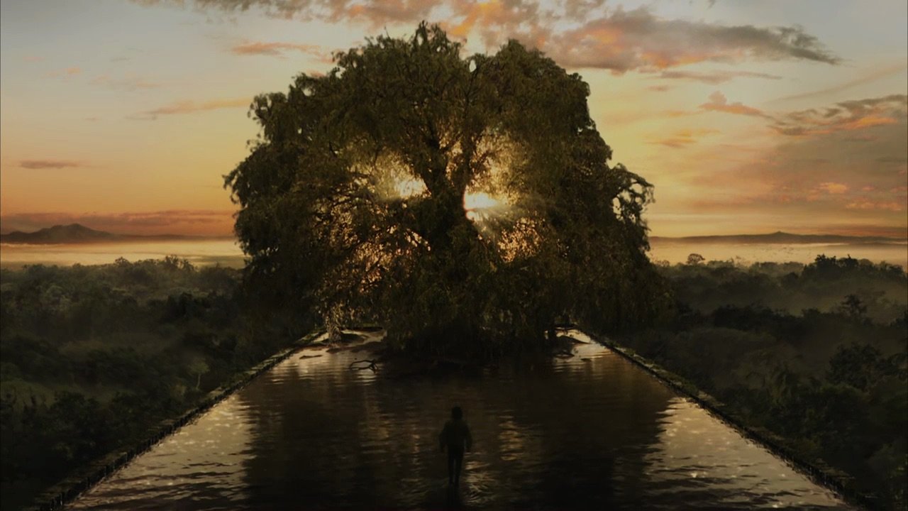 tree of life