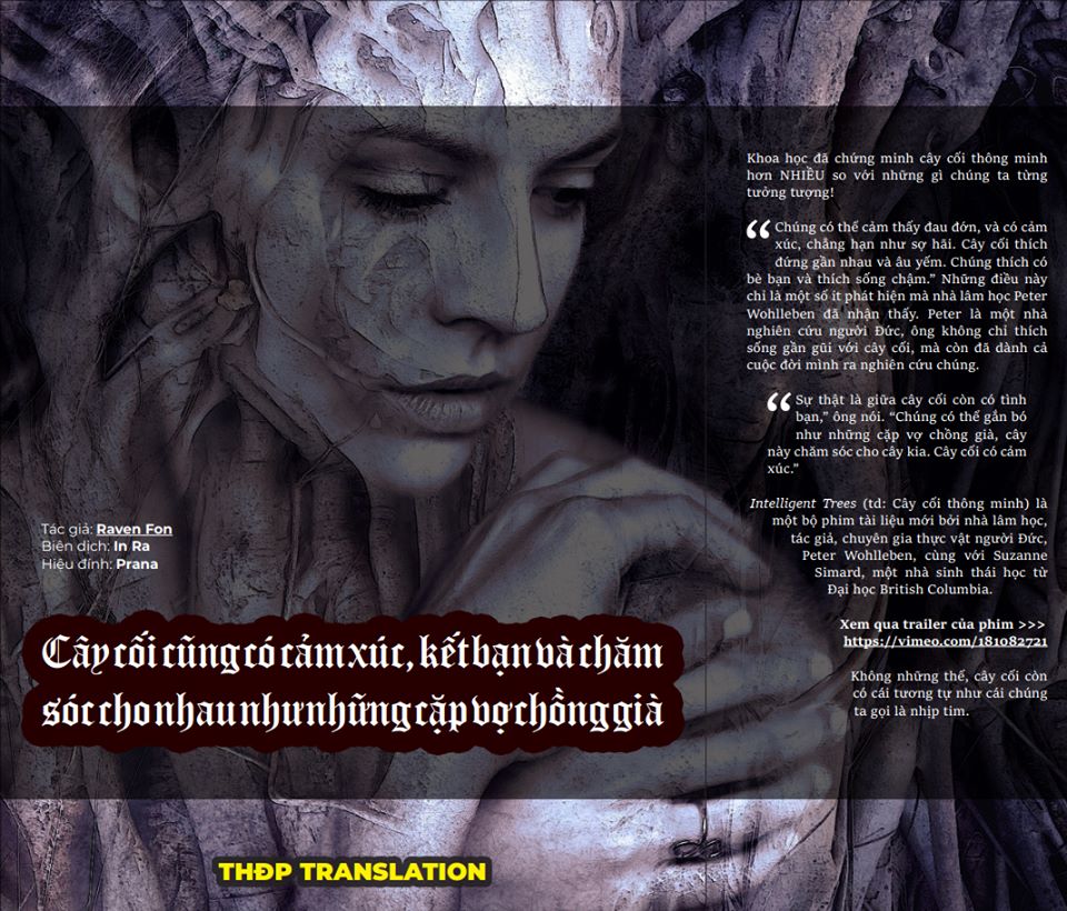 Tạp chí Aloha Volume 10 58571118_10218343438647863_7868008378327367680_n