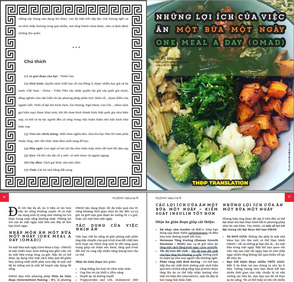 Tạp chí Aloha Volume 11 59985952_10218446528425043_6636736126096769024_n
