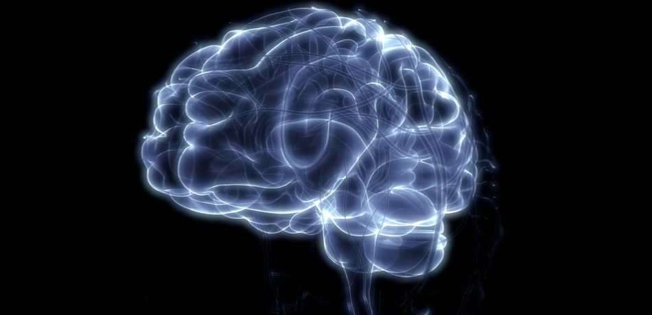 microdosing-psychedelics-magic-mushrooms-study