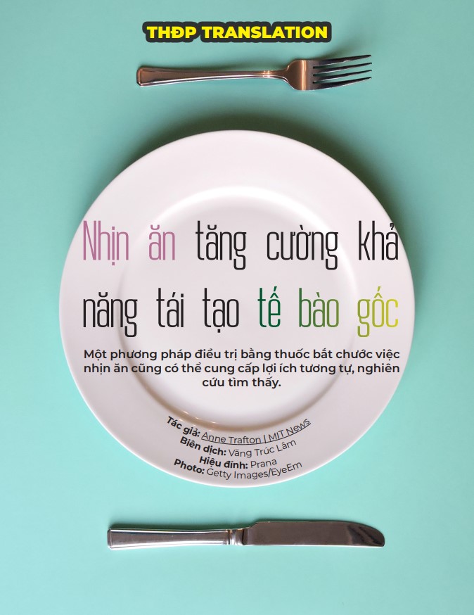 Tạp chí Aloha volume 15 Annotation 2019-09-21 153536