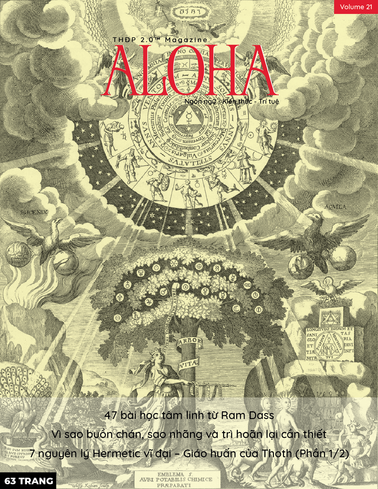 Tạp chí Aloha - Triết Học Đường Phố 2.0 Magazine 85141809_520525801924667_5418397300294680576_n