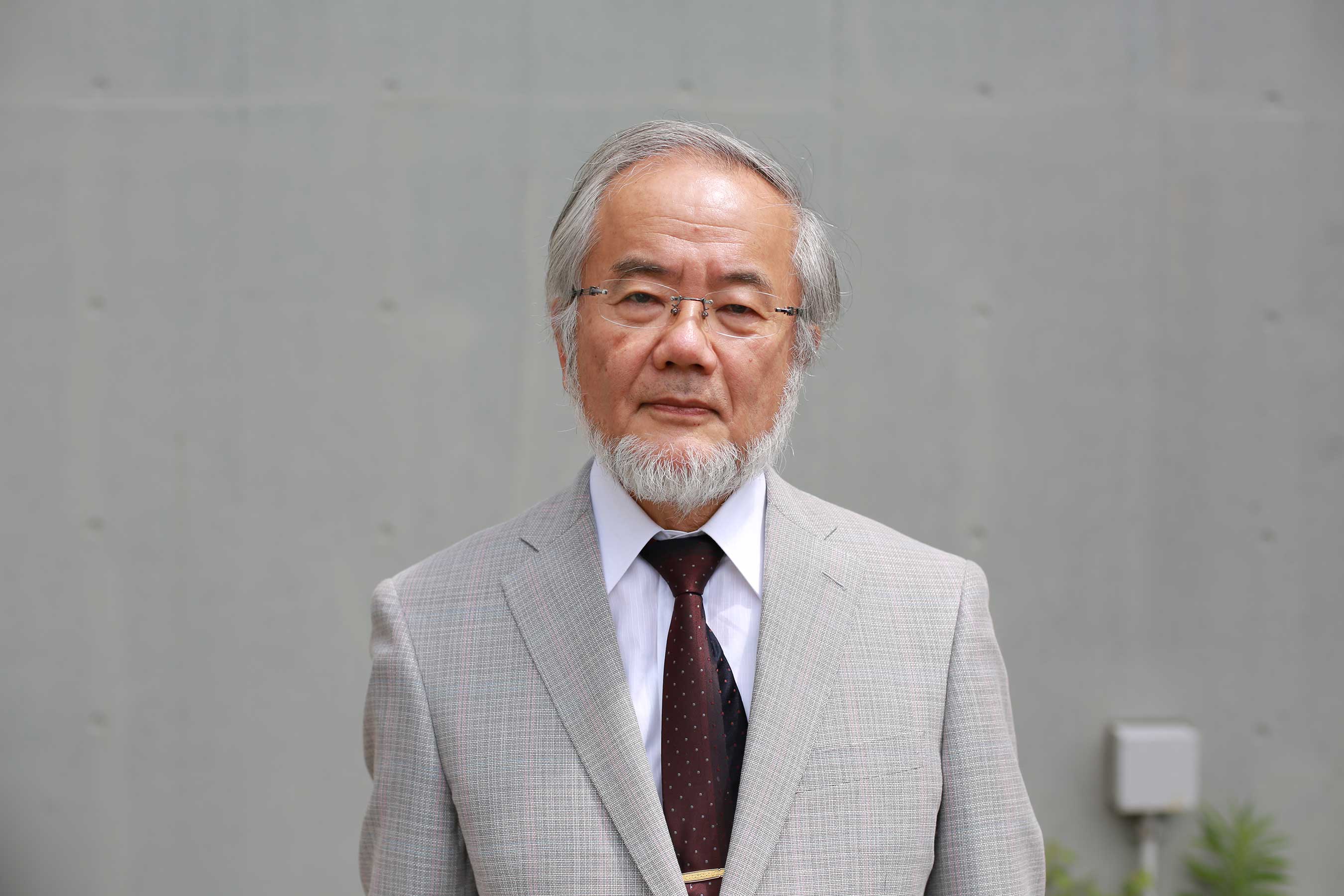ohsumi