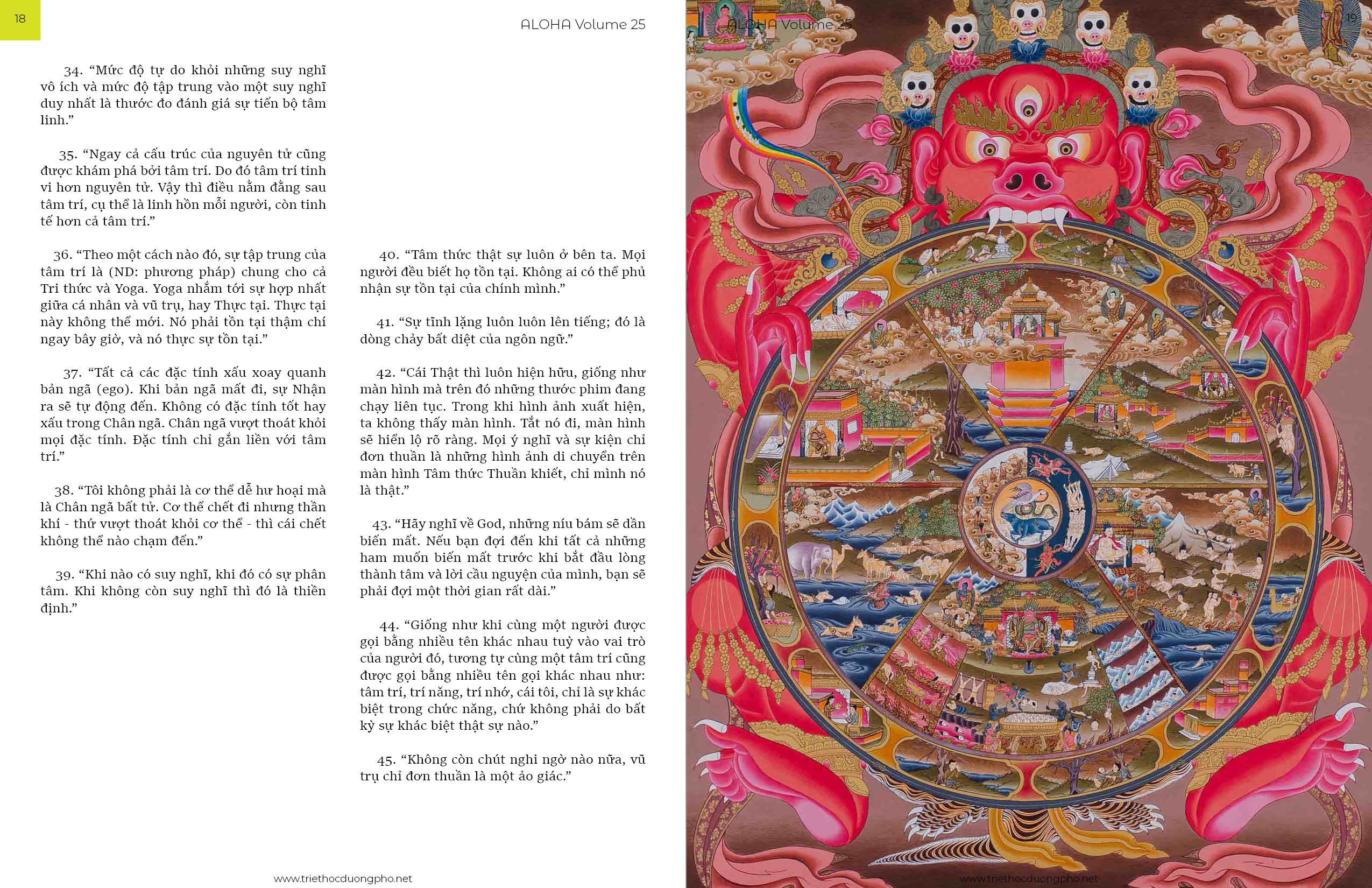 Tạp chí Aloha volume 25 5