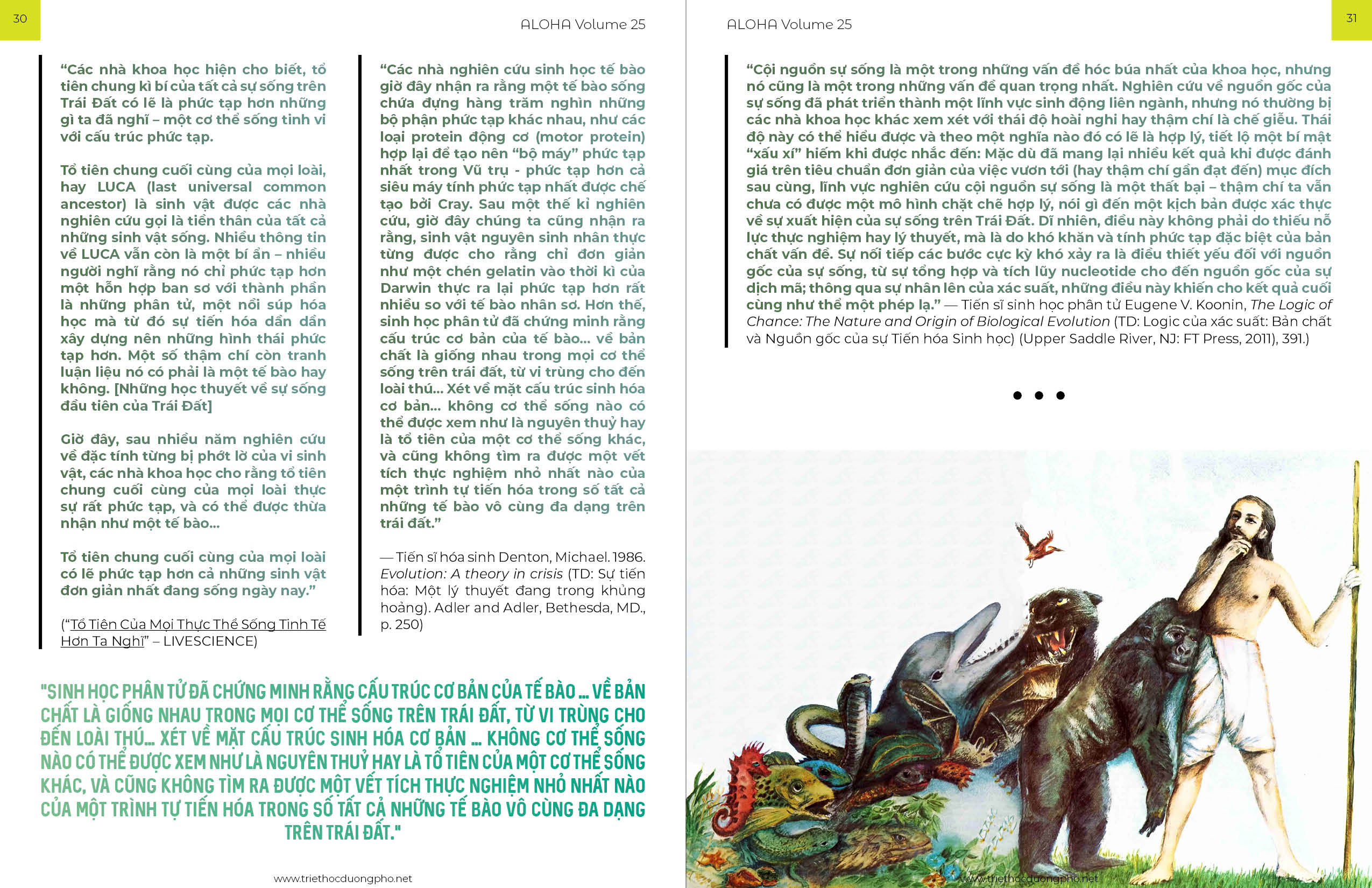 Tạp chí Aloha volume 25 9