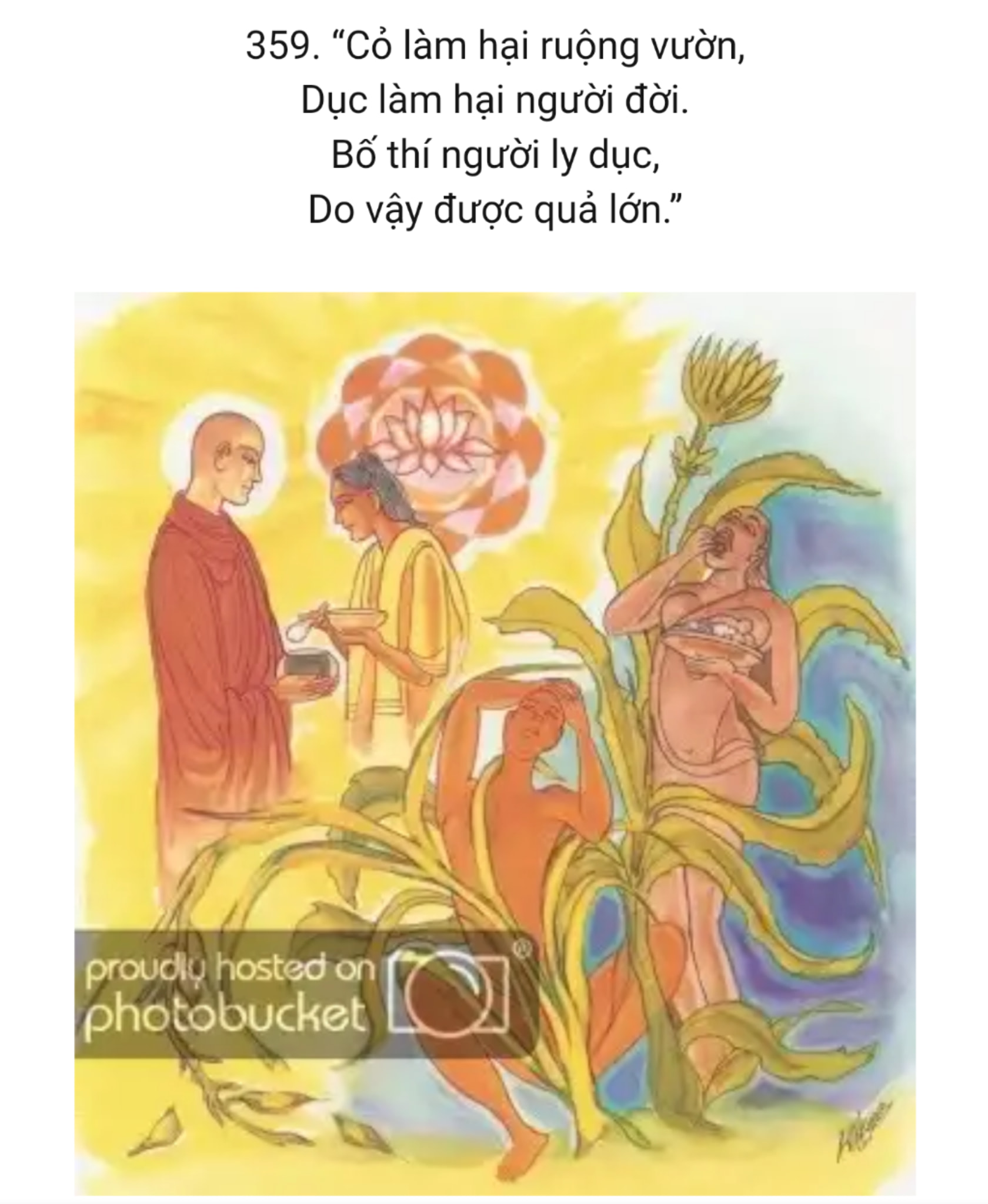 53343606_10218012482334162_8604819535603695616_o