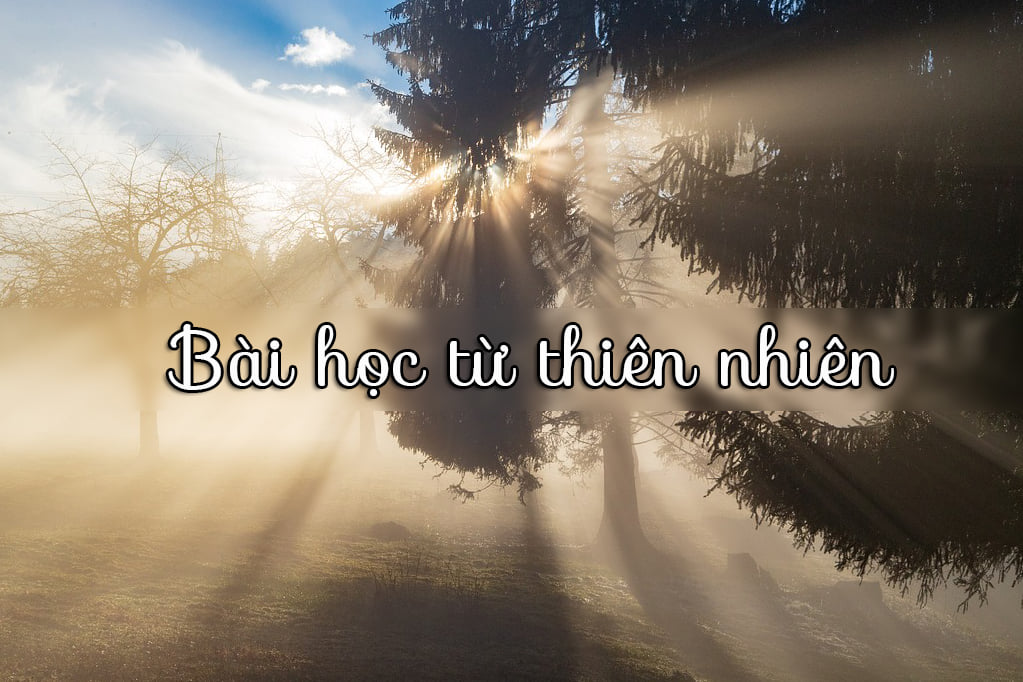 thiên nhiên