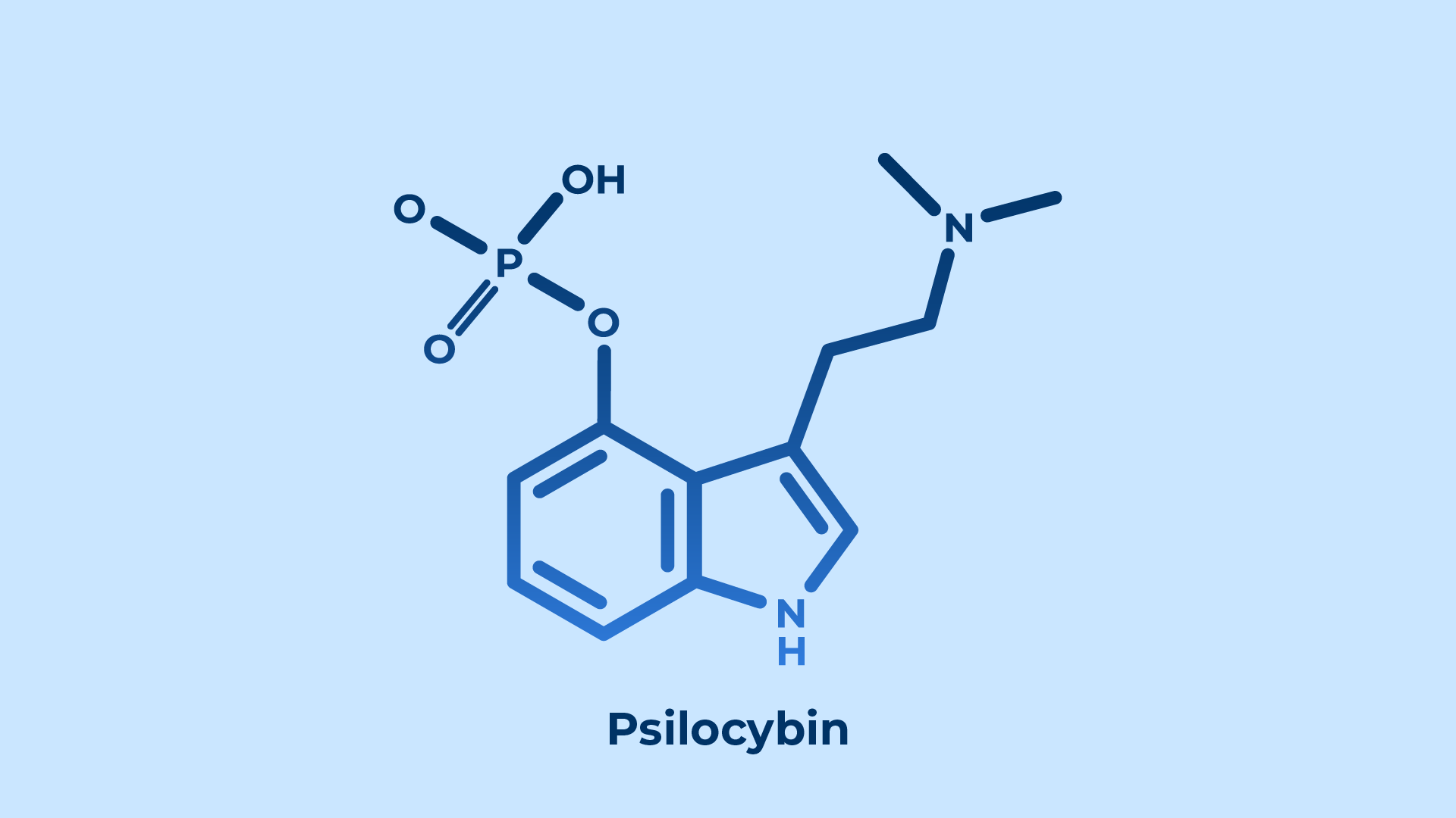 Nấm ma thuật psilocybin hoạt động như thế nào? (Phần 1) "nấm ma thuật" - psilocybin