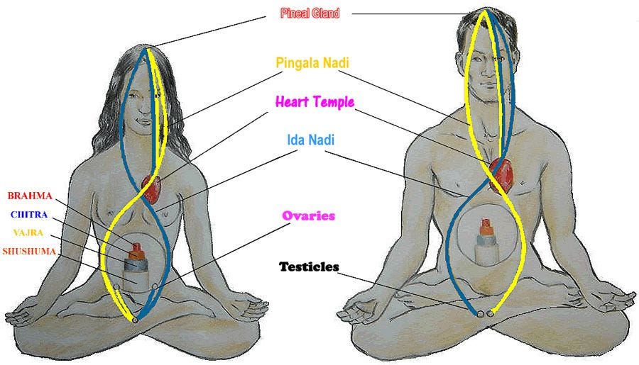 Bí mật của sự chuyển hóa năng lượng tình dục - Napoleon Hill năng lượng tình dục