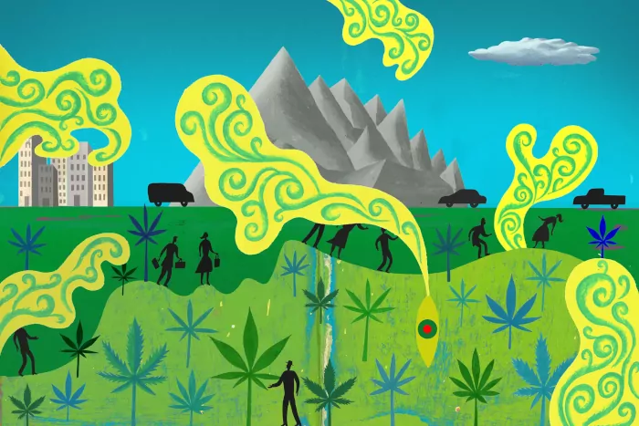 Psychedelics, Thức Thần, Cần Sa, Thứ High và Ảo Giác cần sa