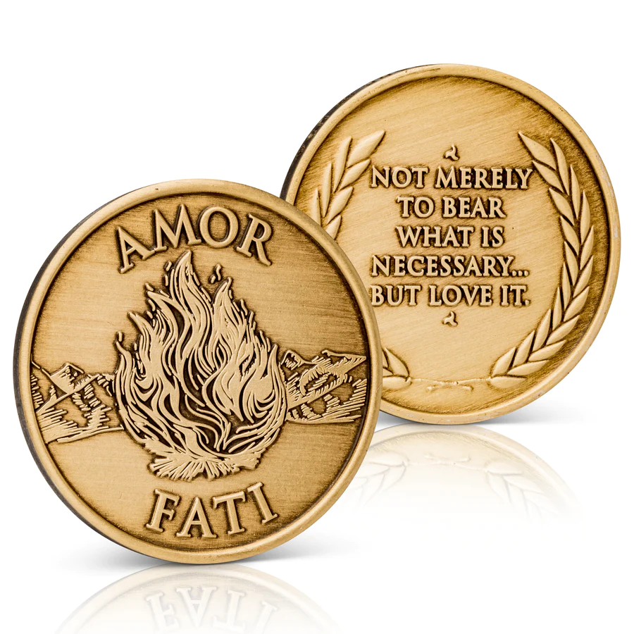 Amor Fati — Phương thức hàn gắn sự bình yên trong thực tại Amor Fati