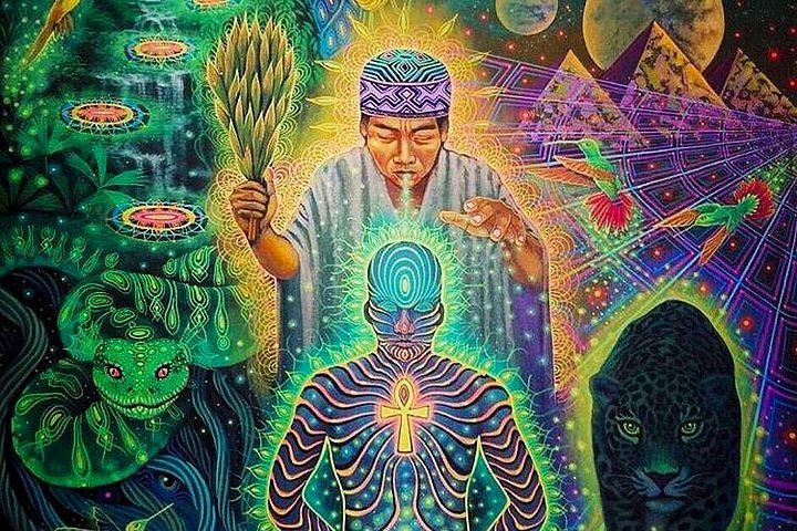 Ayahuasca giúp tôi nhận ra khiêm nhường là hạnh phúc ayahuasca