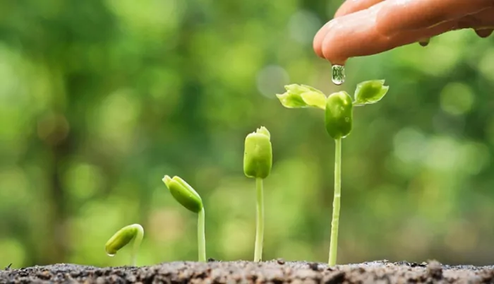 Vì sao không xuất tinh biến bạn trở thành một cục nam châm xuất tinh